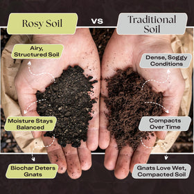 Rosy Soil biochar-powered mix retains moisture while boosting aeration for potted aroids