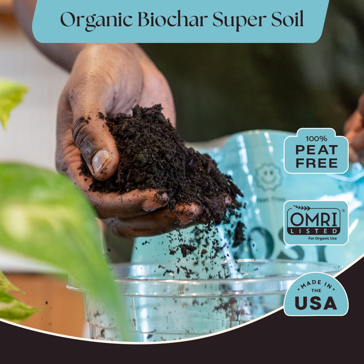 Rosy Soil biochar root-boost close-up highlighting stronger root growth potential