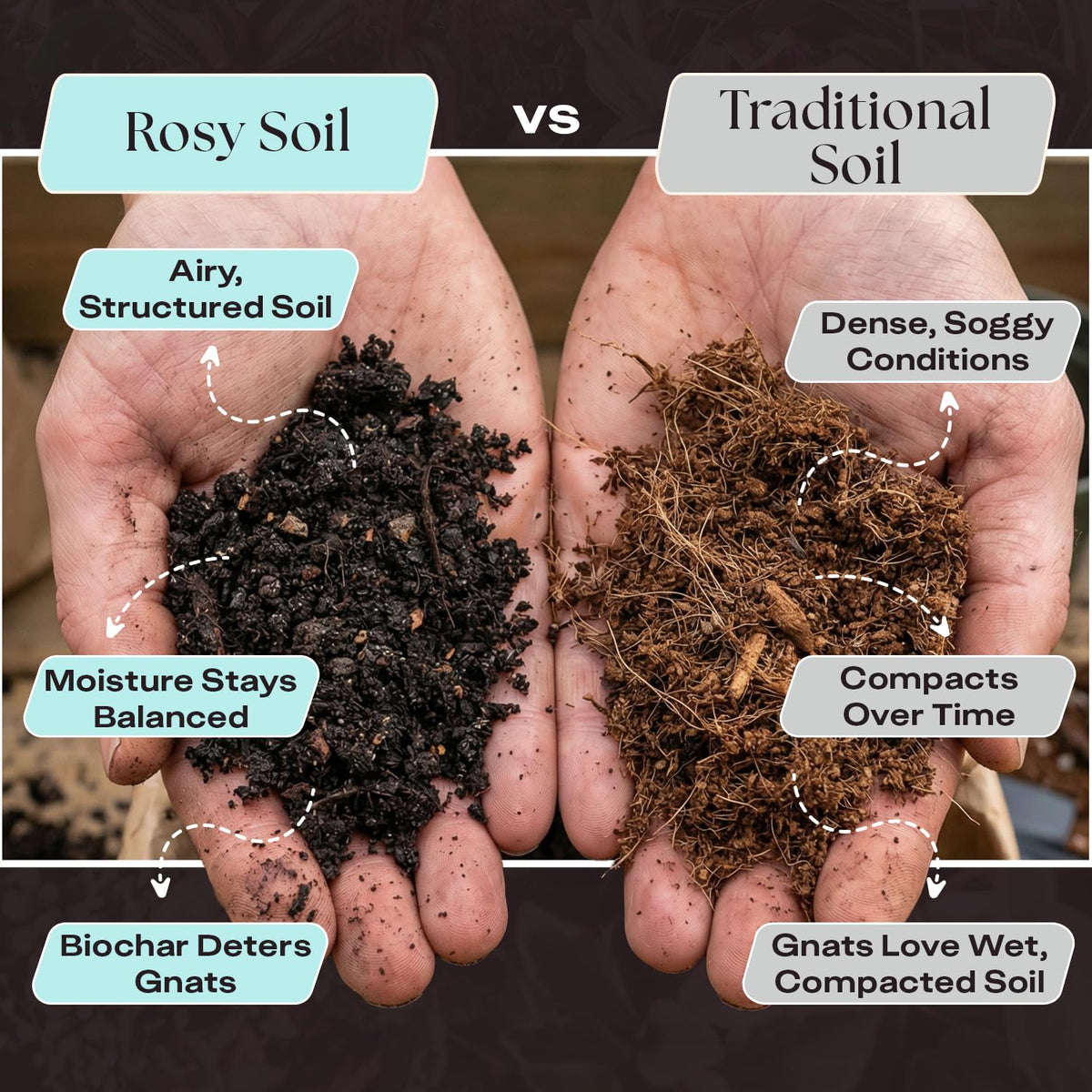 Rosy Soil biochar-worm-castings detail emphasizes nutrition and moisture regulation.