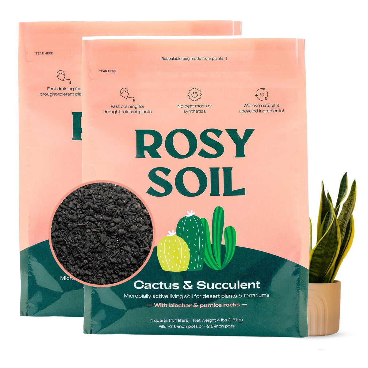 Rosy Soil cactus and succulent mix close-up highlighting airy texture for drainage