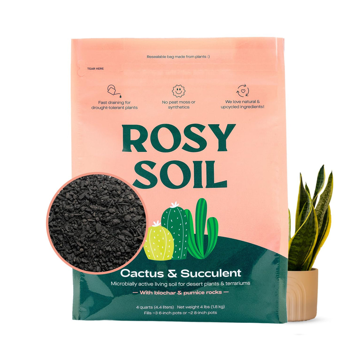Rosy Soil cactus succulents potting mix 4qt promoting strong root growth and drainage