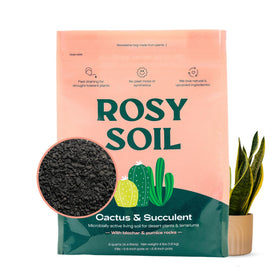 Rosy Soil cactus succulents potting mix 4qt promoting strong root growth and drainage