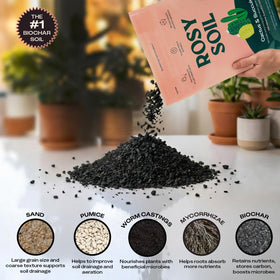 Easy planting guidance with Rosy Soil for accurate root centering