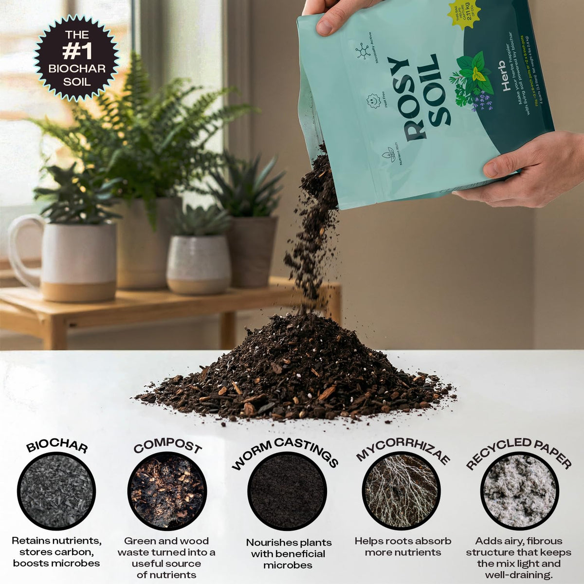 Rosy Soil indoor garden container setup demonstrates practical herb growing.
