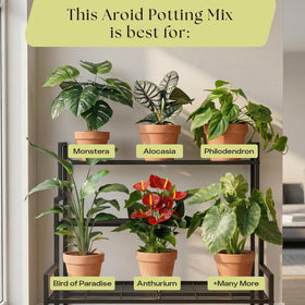 Rosy Soil ideal for indoor-outdoor aroid setups and seasonal repotting