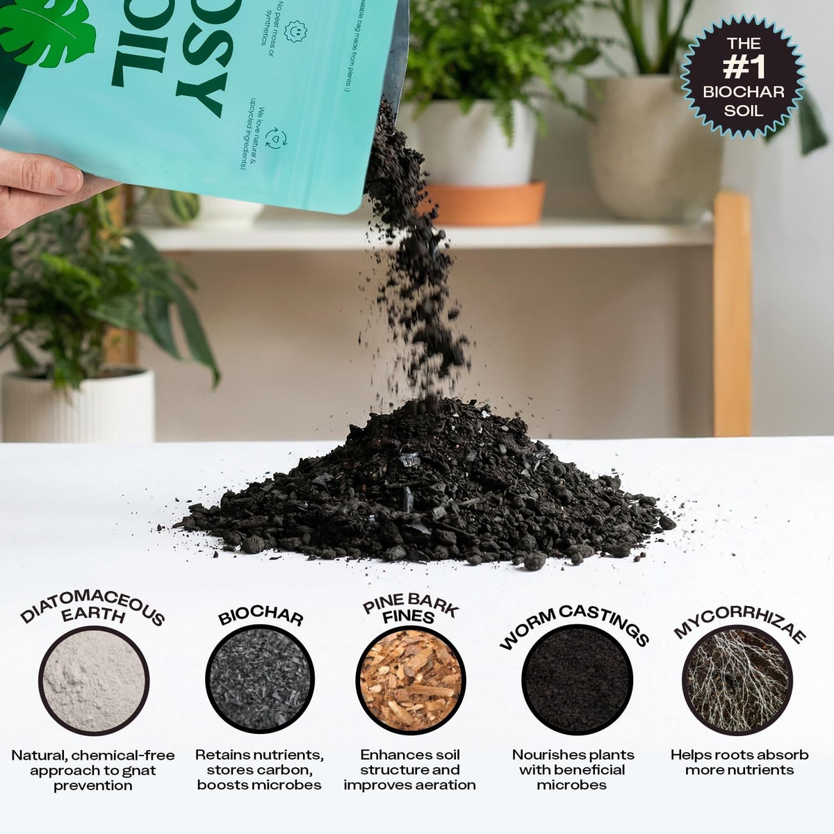 Rosy Soil living-soil ecosystem image showcases beneficial microbes and plant harmony
