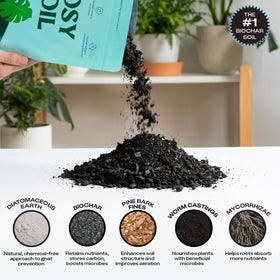 Rosy Soil living-soil ecosystem image showcases beneficial microbes and plant harmony
