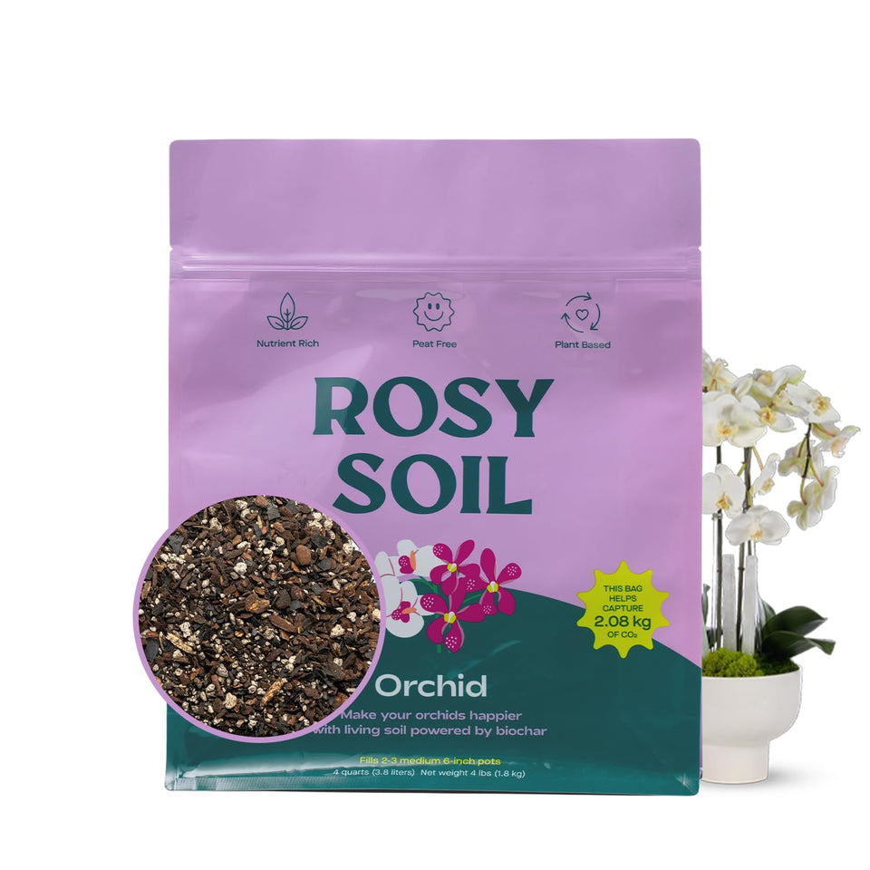 Rosy Soil Orchid Potting Mix demonstrates airy texture for ideal orchid aeration
