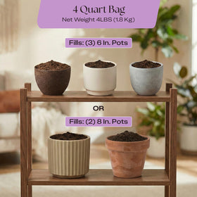 Rosy Soil Orchid Potting Mix ideal for indoor orchid care setups