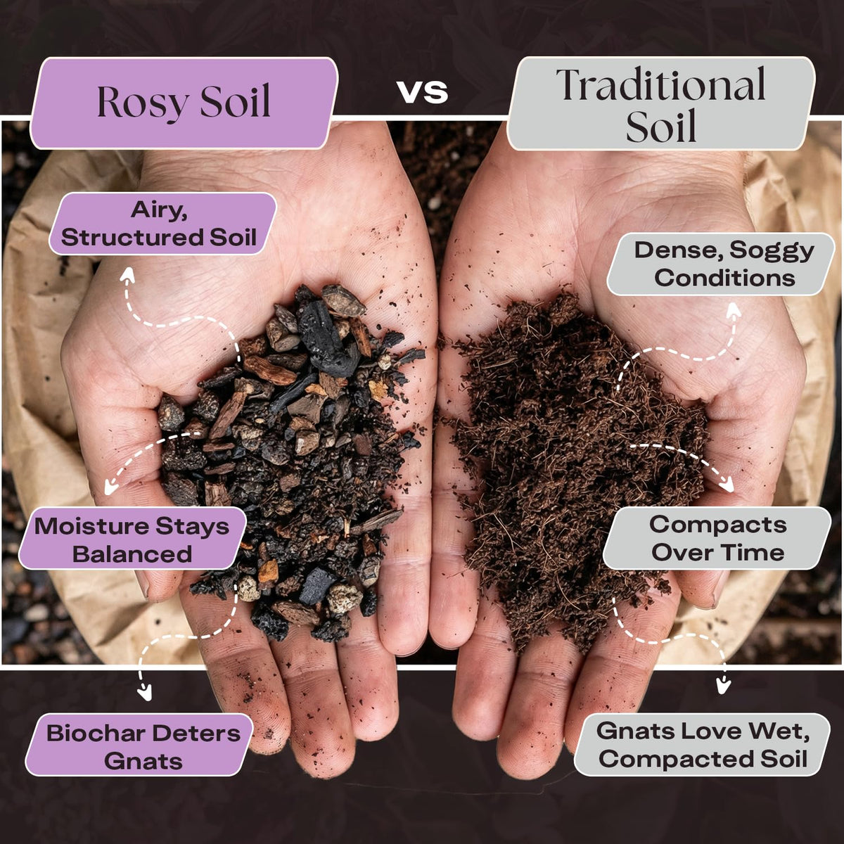 Rosy Soil Orchid Potting Mix enriched with microbes for healthy root systems