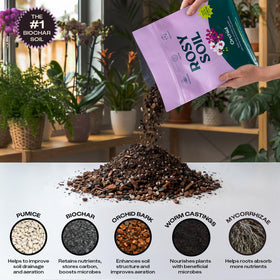Rosy Soil Orchid Potting Mix shows rich color and texture for easy gardening