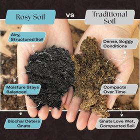 Rosy Soil peat-free formula emphasizes eco-friendly planting with fewer pests