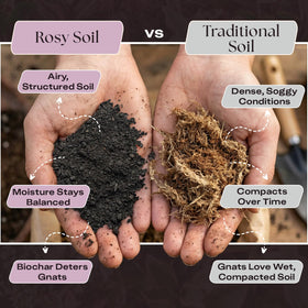 Rosy Soil worm castings close-up highlighting natural nutrition for growth