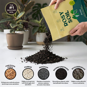 Rosy Soil worm castings enrich soil with nutrients for lush foliage