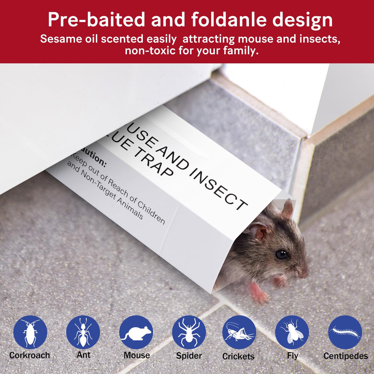 ROTIAH glue trap targets ants and spiders for discreet indoor control.