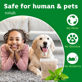 ROTIAH versatile indoor-outdoor use suitable for kitchens, garages, and cars.