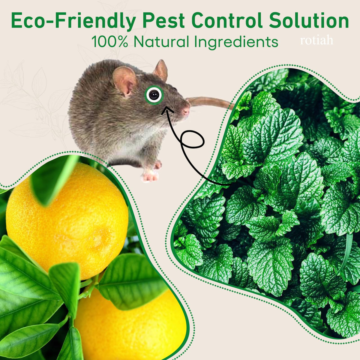 Kitchen corner placement helps ongoing deterrence with peppermint oil