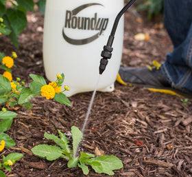 Roundup 190260 sprayer suitable for weeds, insects, and deck cleaning tasks