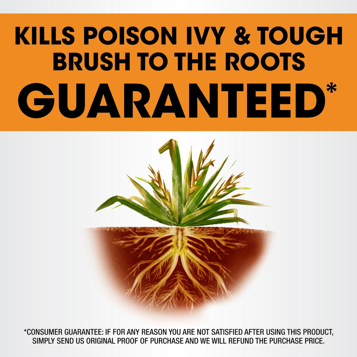 Areas treated around trees and fences after spraying Roundup