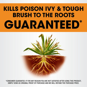 Areas treated around trees and fences after spraying Roundup