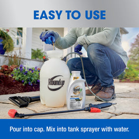 Roundup Dual Action Concentrate after four months allows safe planting.