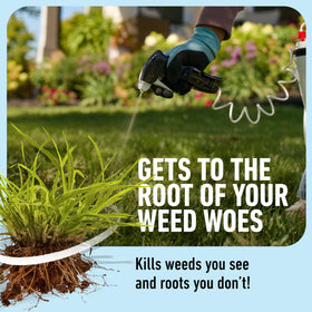 Roundup for Lawns Crabgrass Destroyer2 application on actively growing weeds helps manage lawn weed pressure.