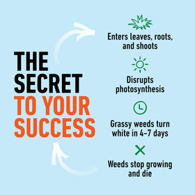 Roundup for Lawns Crabgrass Destroyer2 before-seeding use shows turf-care versatility.