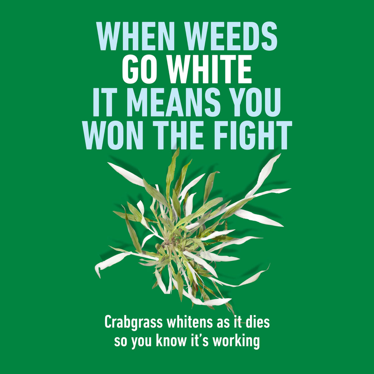 Roundup for Lawns Crabgrass Destroyer2 cap and spout setup simplifies spraying tasks.