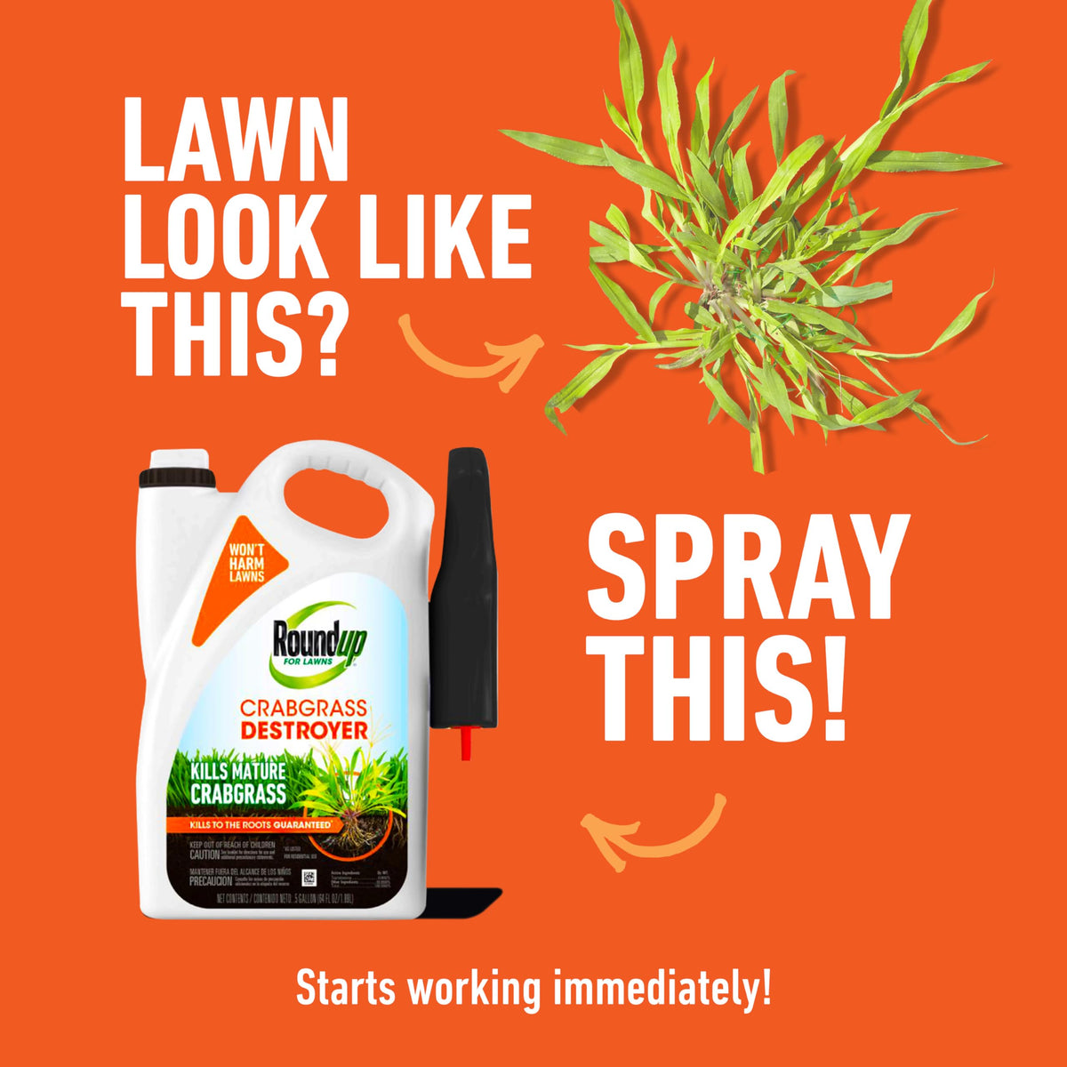 Roundup for Lawns Crabgrass Destroyer2 sprayer demonstrates easy application across lawn areas.