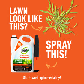 Roundup for Lawns Crabgrass Destroyer2 sprayer demonstrates easy application across lawn areas.