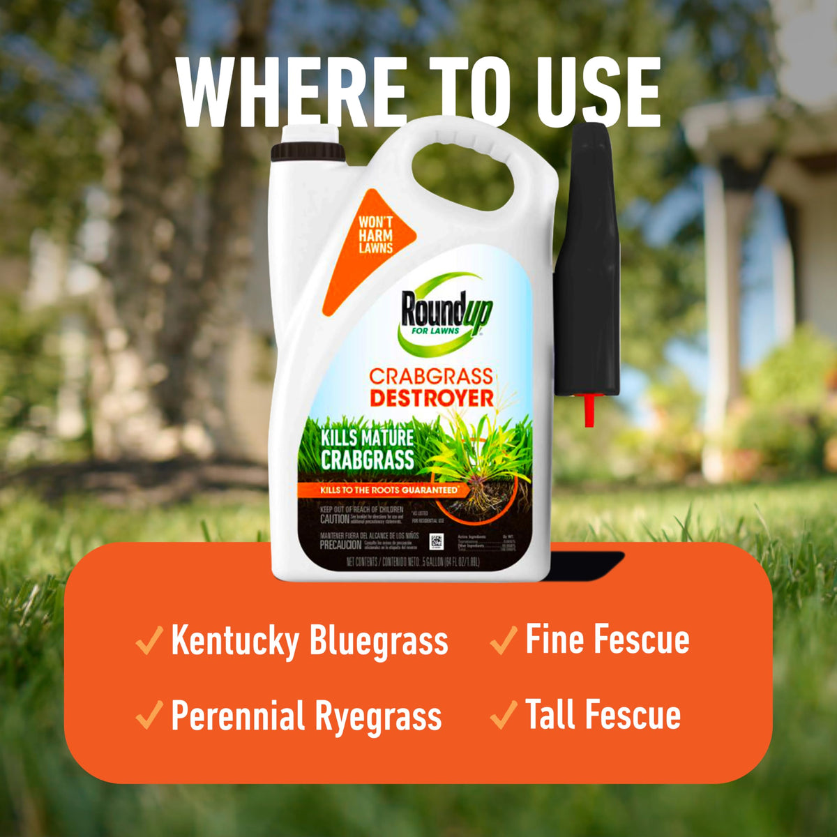 Roundup for Lawns Crabgrass Destroyer2 targets foxtail and other grassy weeds.