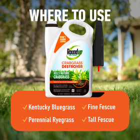 Roundup for Lawns Crabgrass Destroyer2 targets foxtail and other grassy weeds.