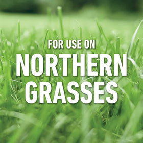 Roundup For Lawns₁ immediate-action-use shows quick weed knockdown.