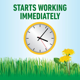 Roundup For Lawns₁ Refill applied to Northern grasses for targeted control.