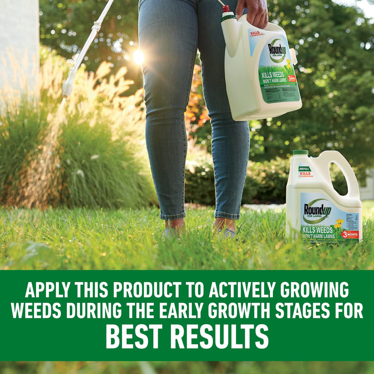 Roundup For Lawns₁ Refill shows rainproof performance within hours.
