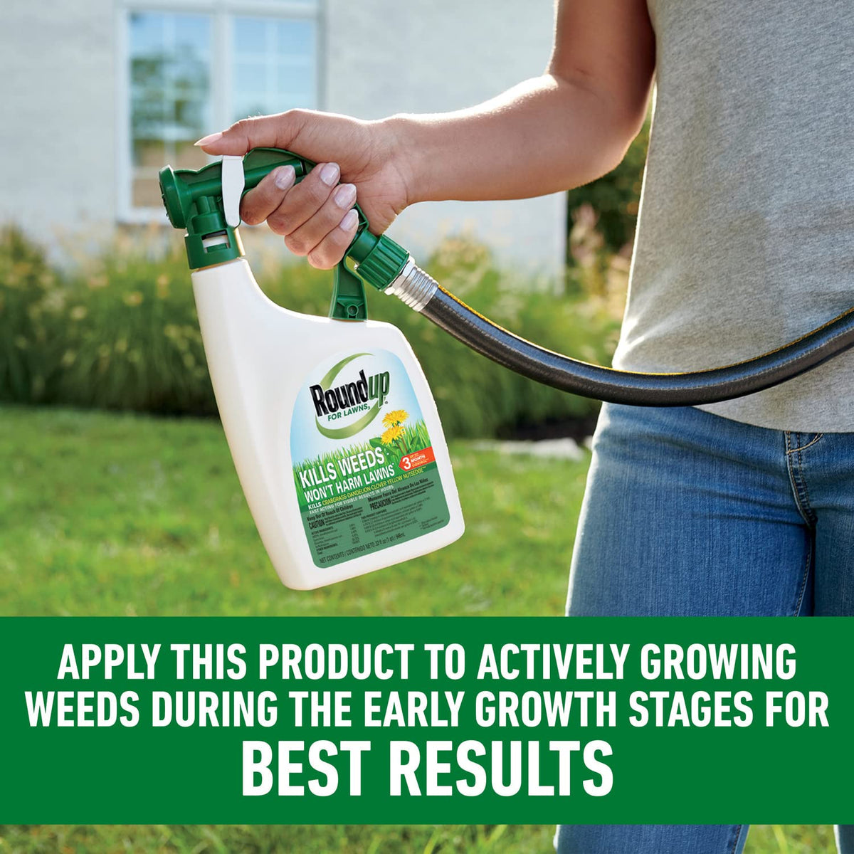Roundup For Lawns3 green turf ready for use with spray.