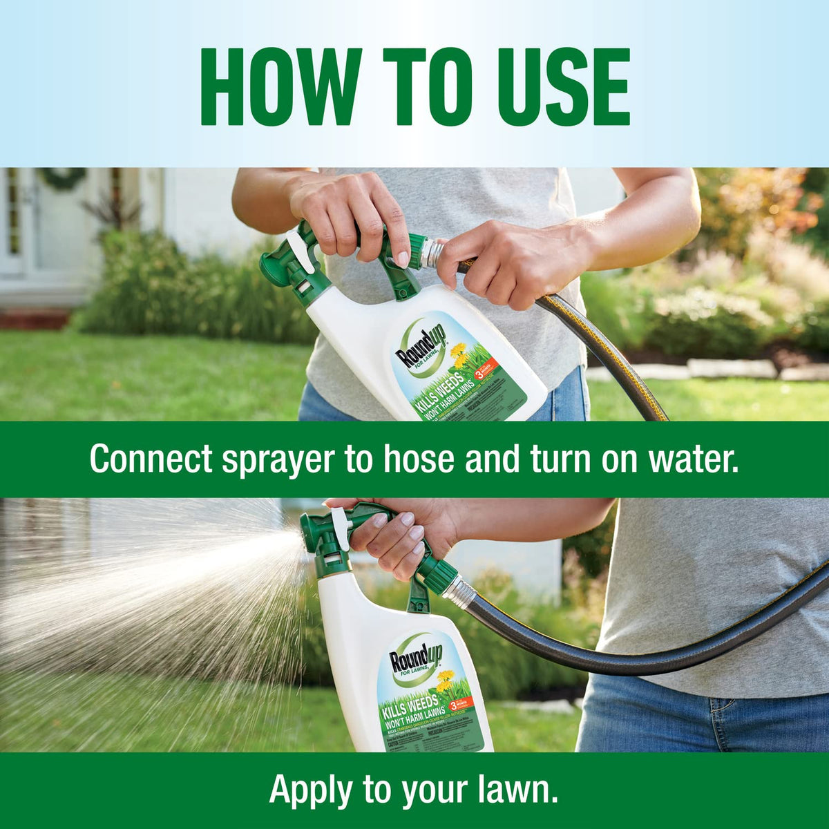 Roundup For Lawns3 Kentucky Bluegrass application supports targeted weed control.