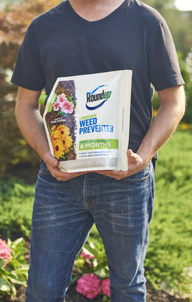 Applying Roundup Landscape Weed Preventer to soil around plants to deter weed growth