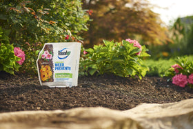 Spring prep around shrubs using Roundup Weed Preventer for proactive weed control