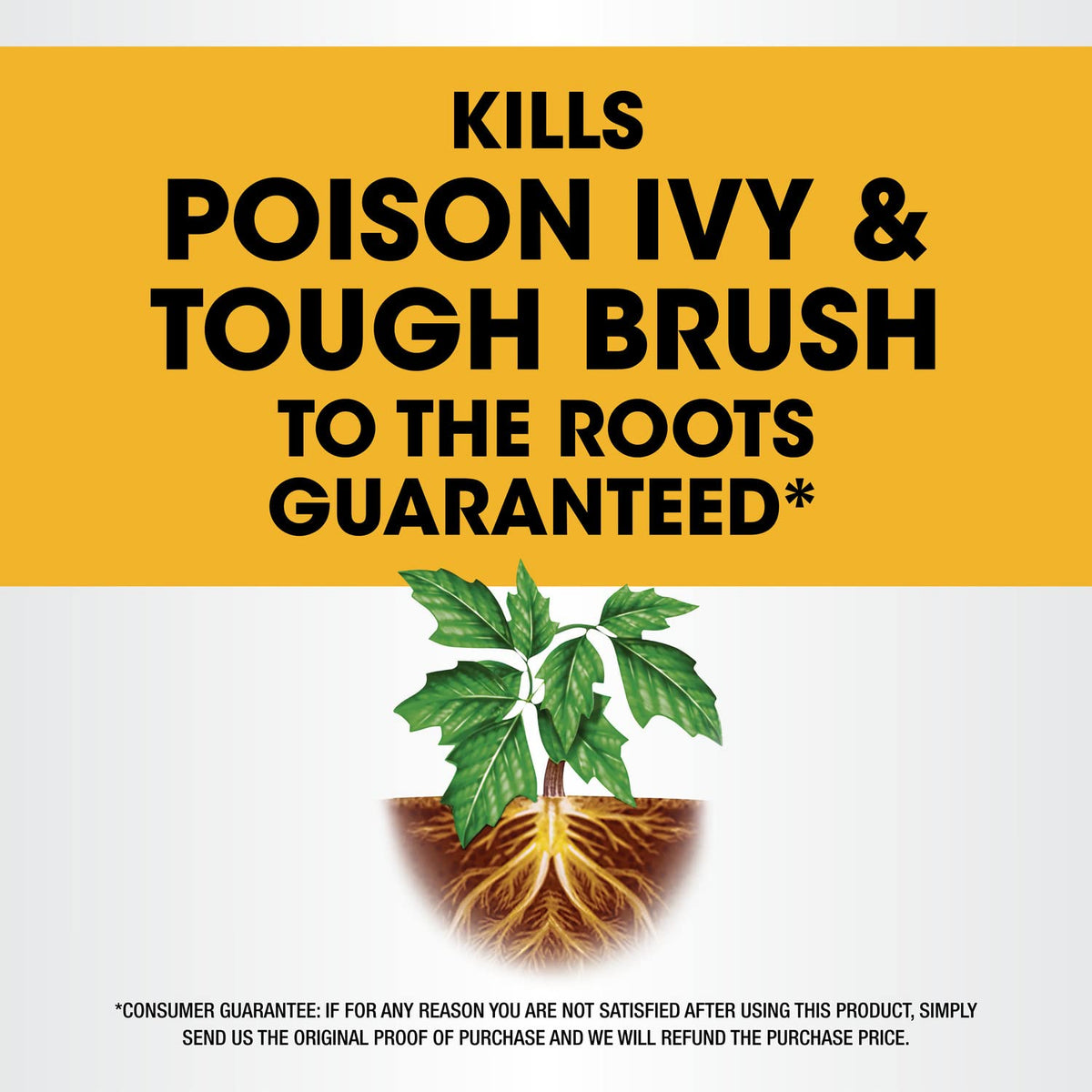 Roundup Poison Ivy Plus spray bottle for quick weed control.