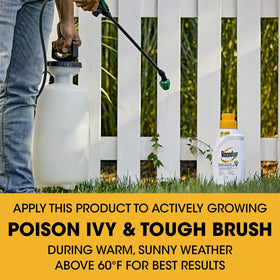 Roundup Poison Ivy Plus stump treatment application demonstrates root kill.