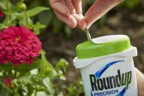 Roundup Precision Gel near vegetables showing garden-safe use.