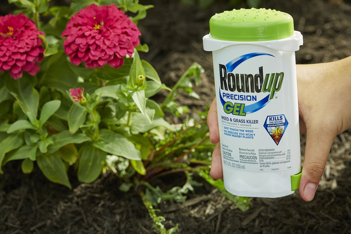 Roundup Precision Gel close-up on leaf showing gel coverage.