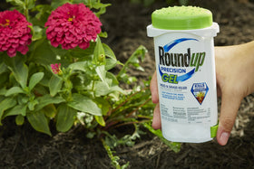 Roundup Precision Gel close-up on leaf showing gel coverage.
