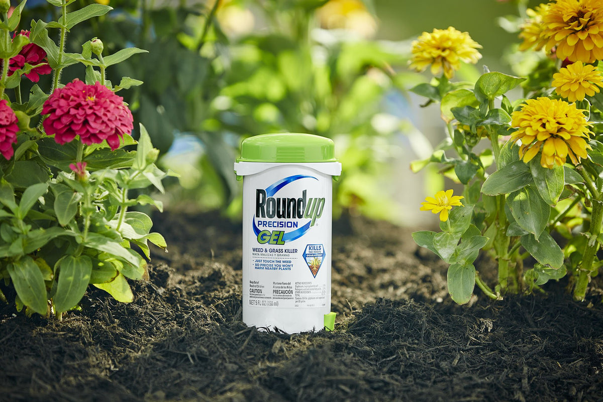 Roundup Precision Gel applied to weed leaves for spot treatment.
