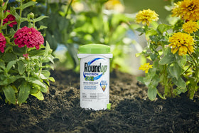 Roundup Precision Gel applied to weed leaves for spot treatment.