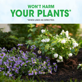Granules applied to soil around established plants for lasting protection.