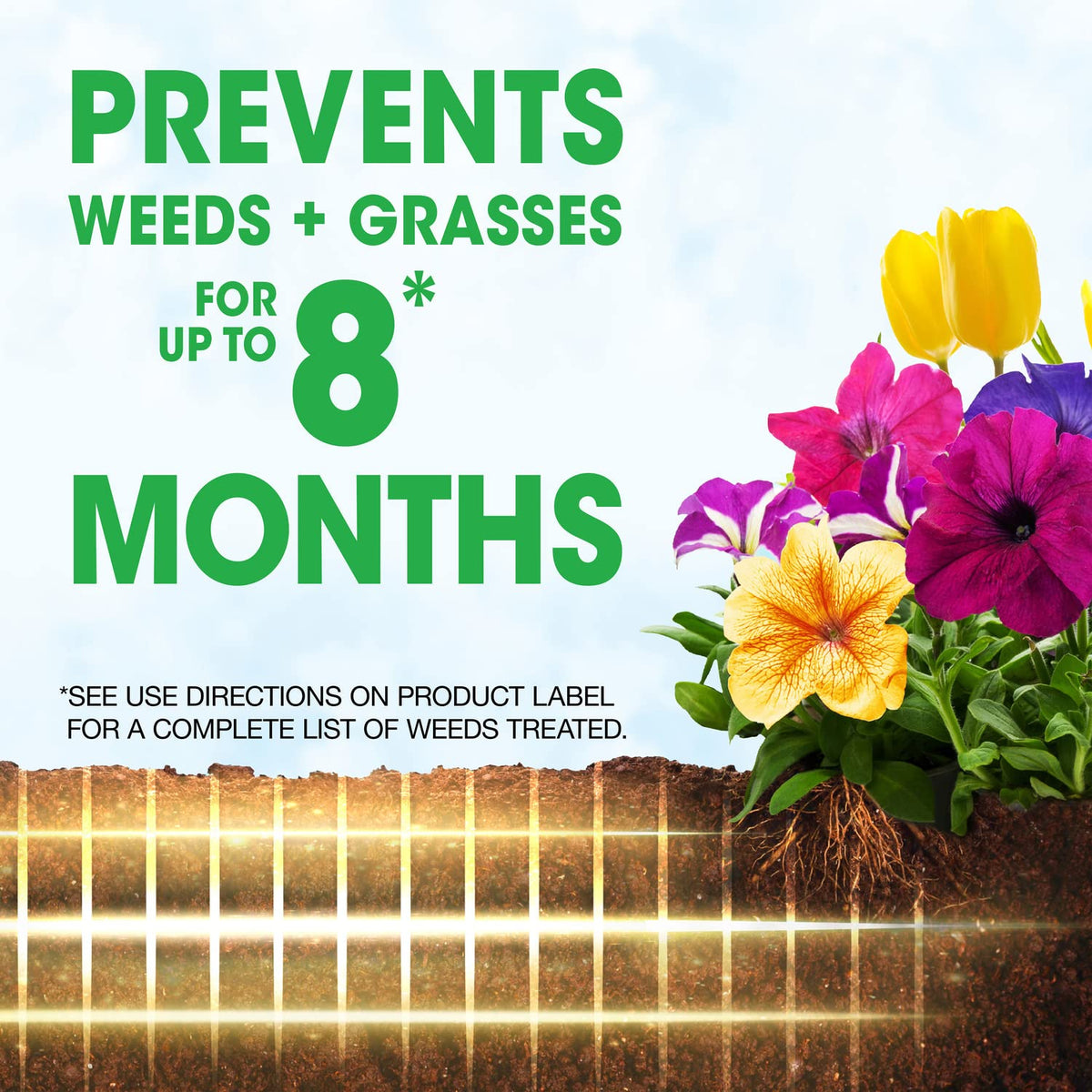 Sprinkling Roundup Weed Barrier Granules around plants for simple weed prevention.