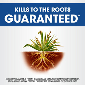 Roundup Weed & Grass Killer₄ Refill application-areas image highlights beds, trees, patios, and walkways.