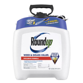 Roundup Weed Killer4 with Pump N Go sprayer for precise weed control around flower beds